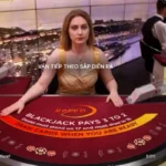 Cách chơi Blackjack dễ hiểu với những hành động thường gặp